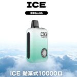 ICE FREEZE 10000口 拋棄式｜