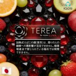 日本版IQOS TEREA 煙彈 黑紅寶石