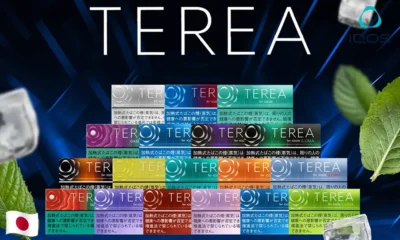 【28種口味正品現貨】日本版 TEREA 煙彈