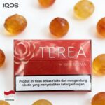 【琥珀】Indonesia TEREA