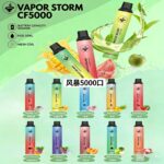VAPOR STORM 風暴 CF5000
