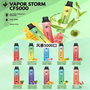 VAPOR STORM 風暴 CF5000