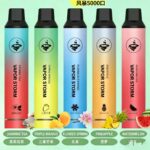 VAPOR STORM 風暴 CF5000 11